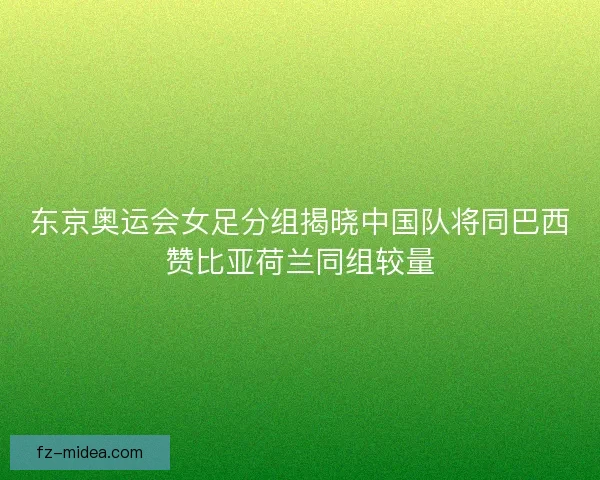 东京奥运会女足分组揭晓中国队将同巴西赞比亚荷兰同组较量