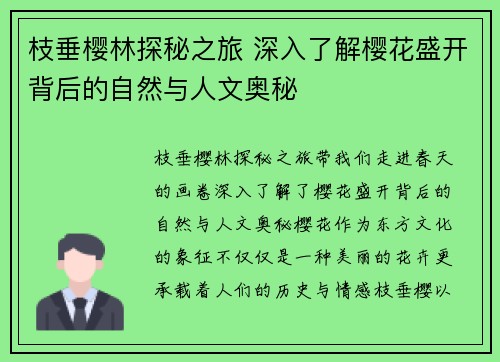 枝垂樱林探秘之旅 深入了解樱花盛开背后的自然与人文奥秘